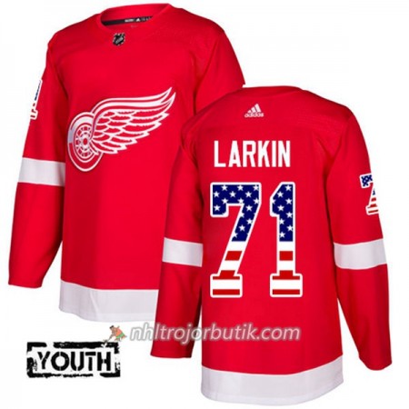 Barn Ishockey Detroit Red Wings Tröja Dylan Larkin 71 Adidas 2017-2018 Röd USA Flag Fashion Authentic